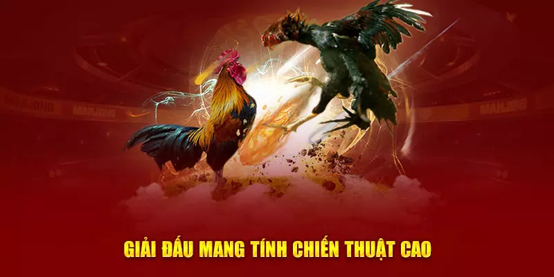 Hệ Thống Đá Gà J88 Hấp Dẫn Bậc Nhất Châu Á Các loại hình chọi gà mang tính chiến thuật cao