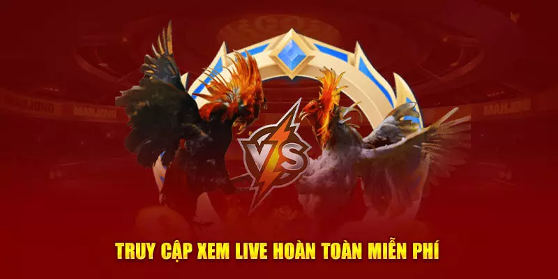 Hệ Thống Đá Gà J88 Hấp Dẫn Bậc Nhất Châu Á Đá gà j88 sở hữu nhiều điểm sáng vượt trội