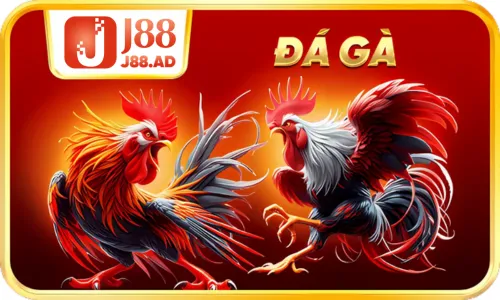 J88 ⭐️ Link Đăng Nhập Trang Chủ J88.com Nhận Thưởng 88k game đá gà j88
